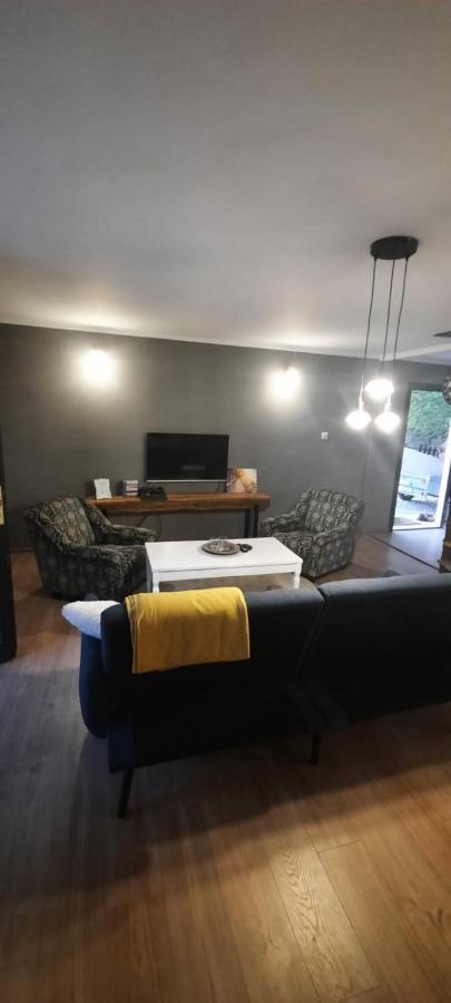 Вилла House Kupa Mb Petrinja Экстерьер фото