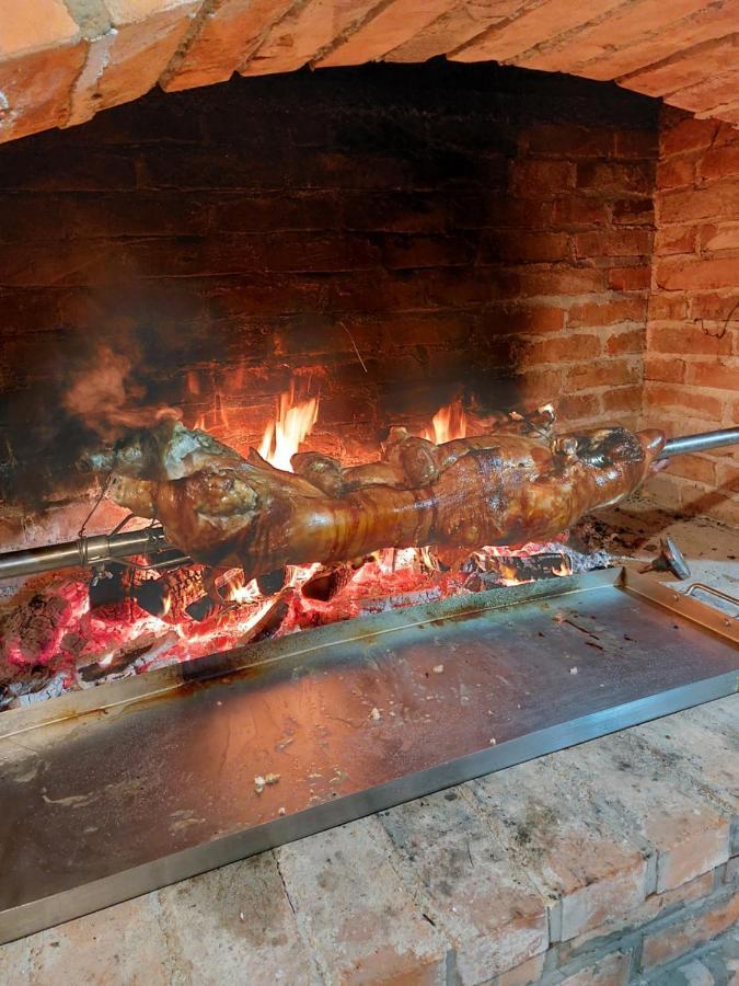 Вилла House Kupa Mb Petrinja Экстерьер фото