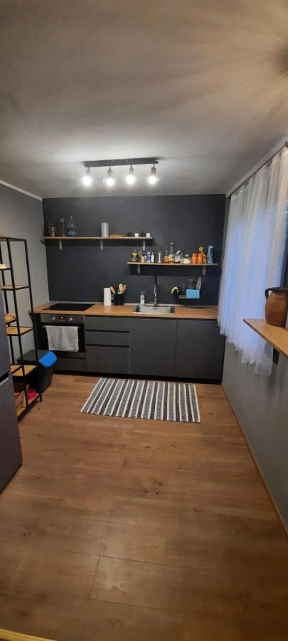 Вилла House Kupa Mb Petrinja Экстерьер фото
