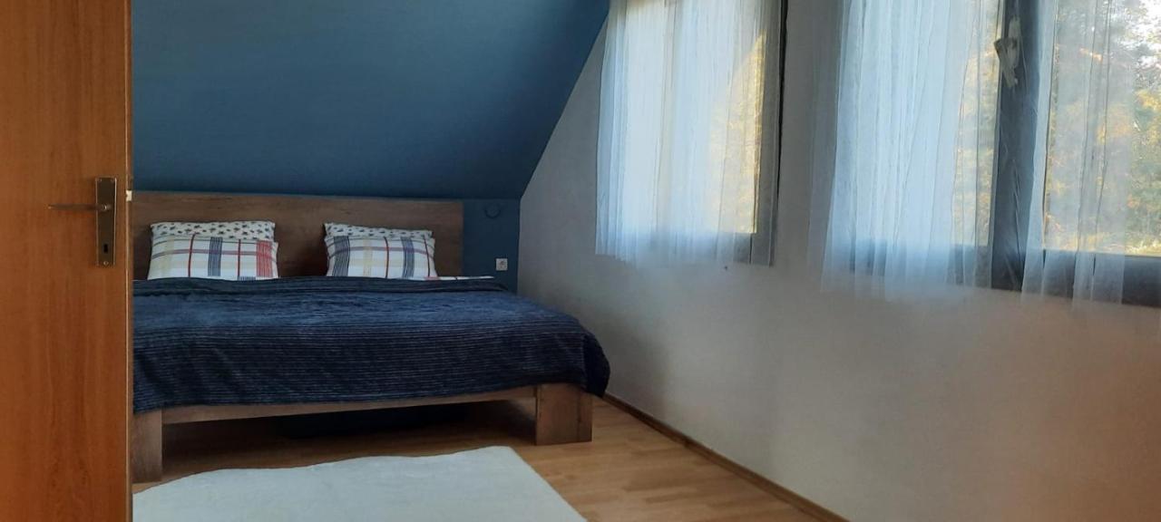 Вилла House Kupa Mb Petrinja Экстерьер фото